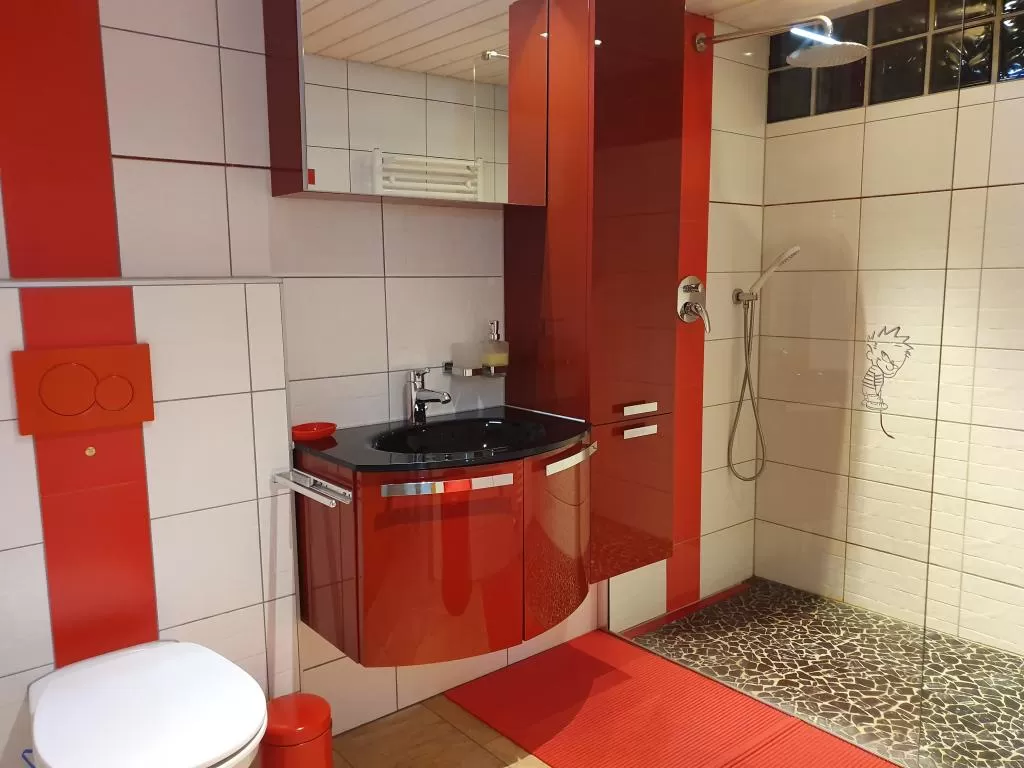 Chalet Mayen Traditionnel Cachet Arolla