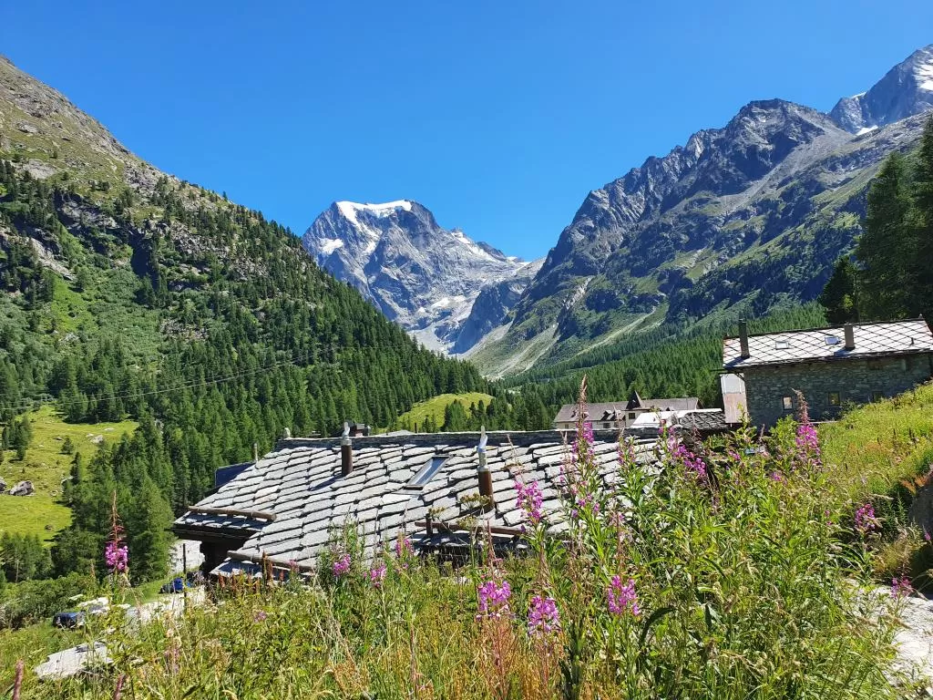 Chalet Mayen Traditionnel Cachet Arolla